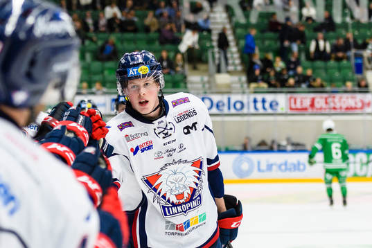 Linköpings Fredrik Karlström jublar med båset eter sitt