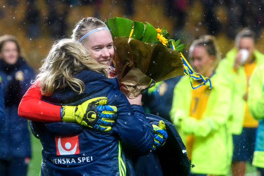 e landskamp