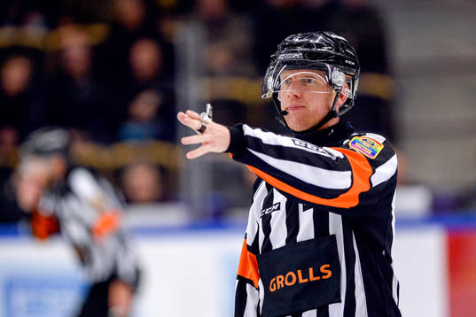 Domare Mikael Holm