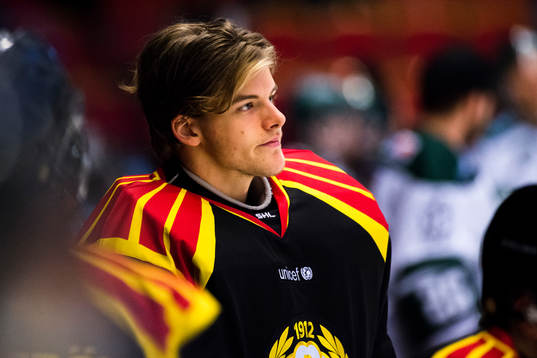 Brynäs målvakt Samuel Ersson