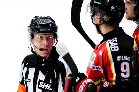 Domare Mikael Holm diskuterar med Luleås Johan Forsberg