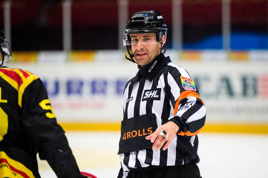 Domare Mikael Sjöqvist