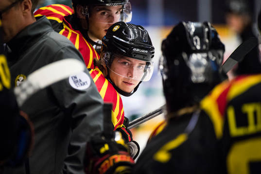Brynäs Adam Hirsch