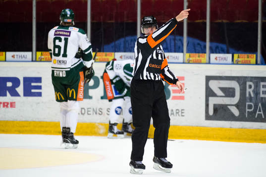 Domare Mikael Sjöqvist