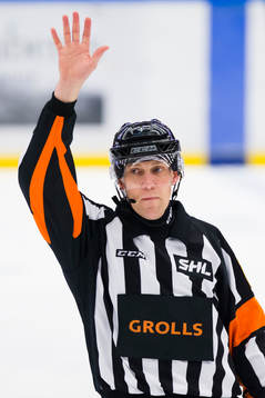 Domaren Morgan Johansson