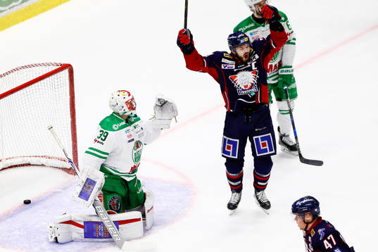 Bläddra bland fler bilder av Ishockey, SHL, Linköping - Rögle