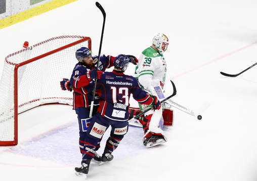 Rögles målvakt Justin Pogge deppar