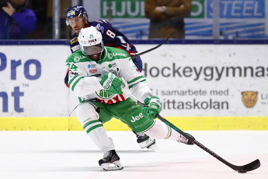 Rögles Edwin Hedberg