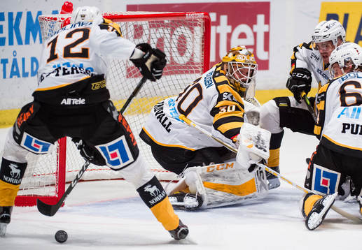 Skellefteås målvakt Gustaf Lindvall