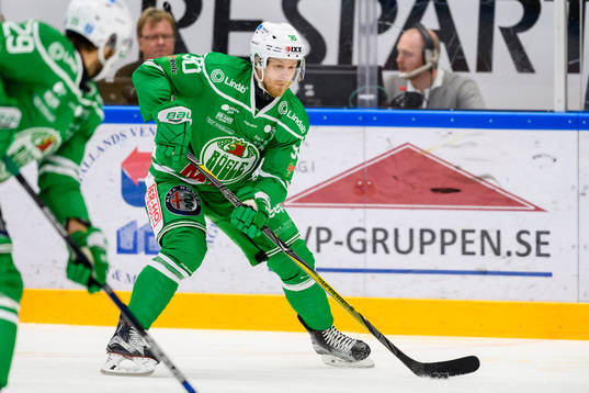 Rögles Ted Brithén