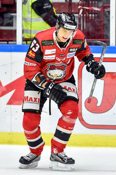 Malmö Redhawks Fredrik Händemark jublar