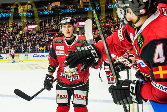 Malmö Redhawks Fredrik Händemark jublar