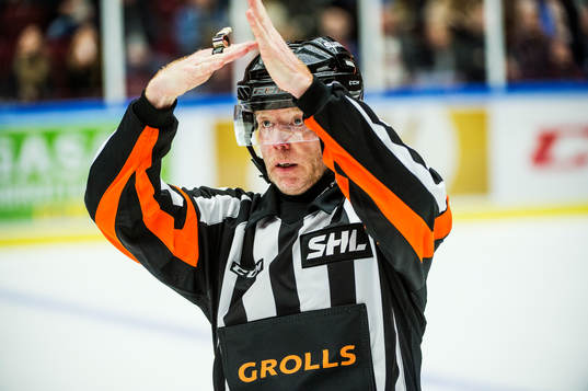 Domaren Wolmer Wdqvist
