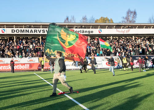 Dalkurds supporters jublar och stormar in på planen
