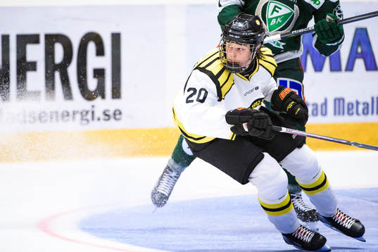 Brynäs Marcus Westfält