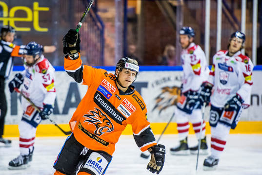 Bläddra bland fler bilder av Ice Hockey, GET-ligaen, Frisk Asker - Lillehammer