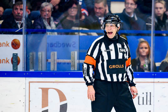 Domare Morgan Johansson