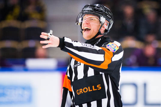 Domare Mikael Holm