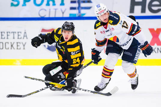Skellefteås Andreas Wingerli och Djurgårdens Henrik