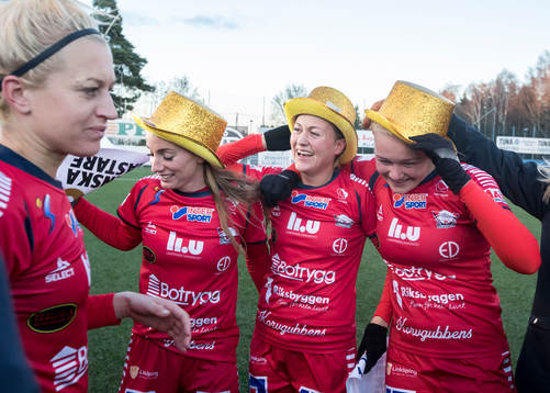 Linköpings spelarna jublar