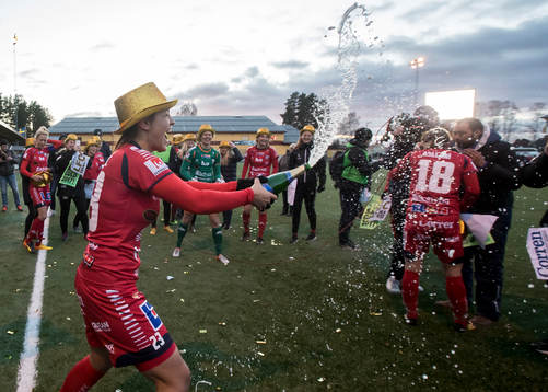 Linköpings spelarna jublar