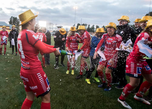Linköpings spelarna jublar