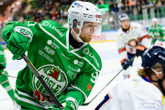 Rögles Ted Brithén