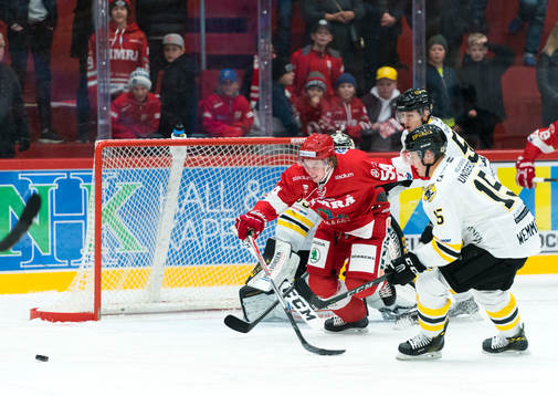 Bläddra bland fler bilder av Ishockey, Hockeyallsvenskan, Timrå - Pantern