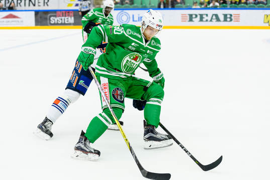 Rögles Ted Brithén