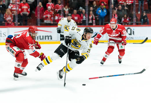 Timrås Jeremy Boyce-Rotevall fäller Panterns Sebastian