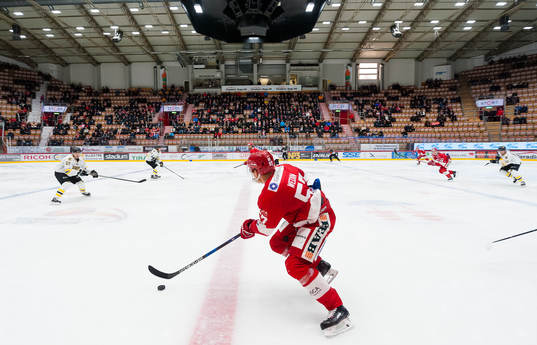 Timrås Vilmos Gallo
