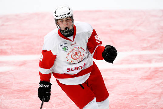 Östergötlands Filip Wiberg jublar