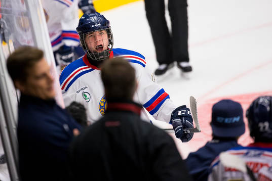 Stockholm Syds Alexander Holtz jublar