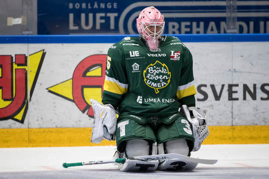 Björklövens målvakt Adam Werner  i ishockeymatchen i