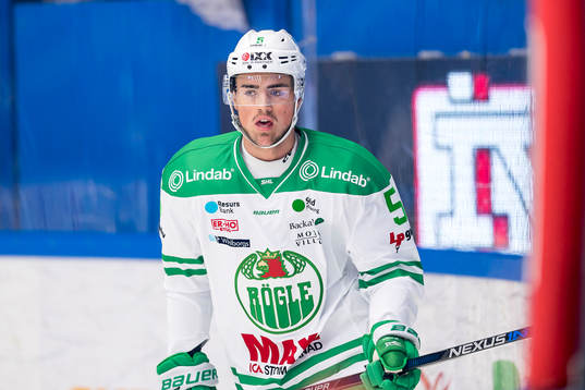 Rögles Alen Bibic
