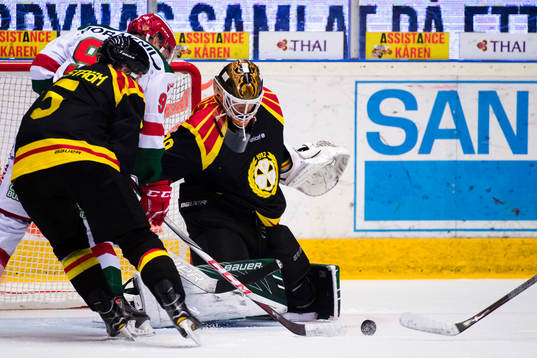 Brynäs målvakt Linus Fernström
