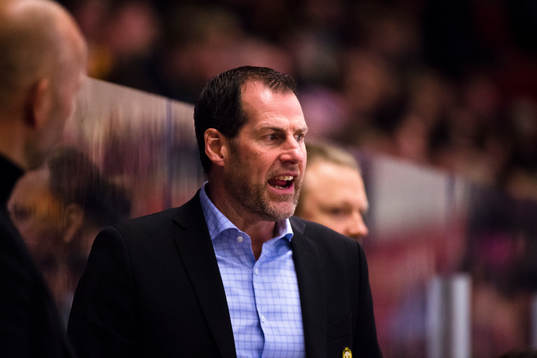 Brynäs assisterande tränare Jan Larsson