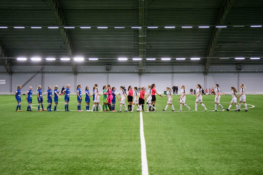Spelarna hälsar på varandra och domarna innan finalen i