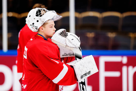 Östergötlands målvakt Ludvig Eriksson deppar