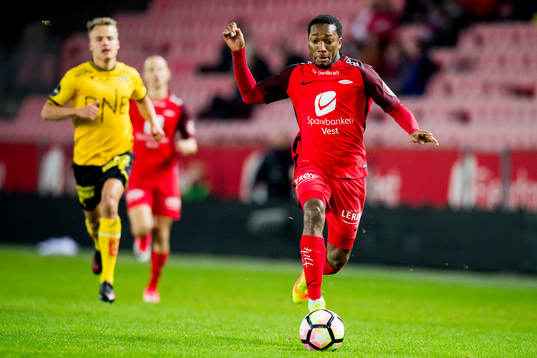 Ludcinio Marengo of Brann