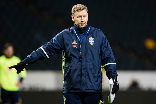 Sveriges assisterande förbundskapten Peter Wettergren