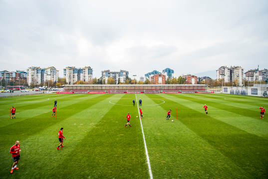 General view of the field