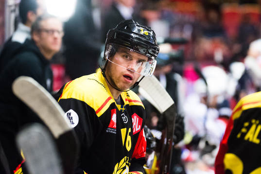 Daniel Paille of Brynäs