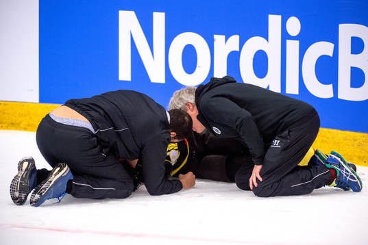 Daniel Paille of Brynäs is down