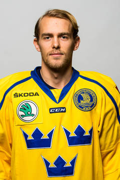 Patrik Cehlin