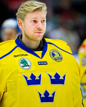 Sveriges målvakt Magnus Hellberg