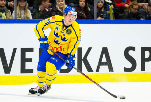Sveriges Erik Gustafsson