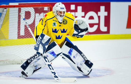 Sveriges målvakt Jhonas Enroth