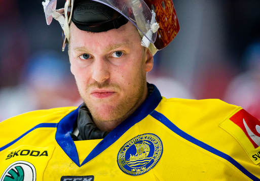 Sveriges målvakt Magnus Hellberg