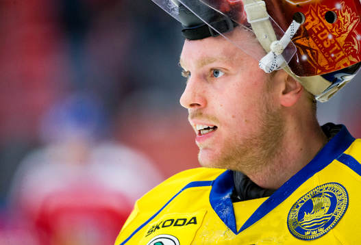 Sveriges målvakt Magnus Hellberg